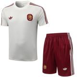 Kit Entrenamiento España 2026- Beige amarillo